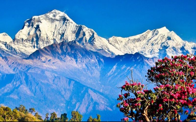 Low Budget Trekking in Nepal
