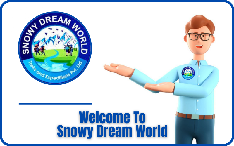 Welcome to snowy dream world