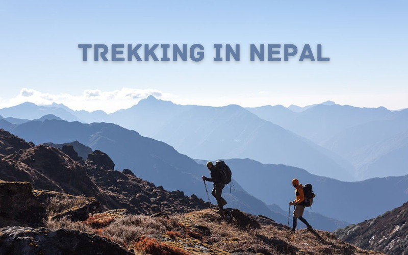 Trekking in Nepal: Definitive Guide